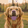 Golden Retriever Smile — Self-Adhesive Pixel Mosaic Wall Art