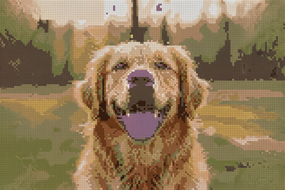 Pet Portrait Mosaic — Landscape